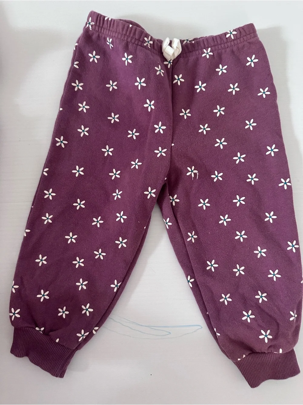 Carter's Plum Floral Zip Hoodie & Joggers Set Size 18 Months